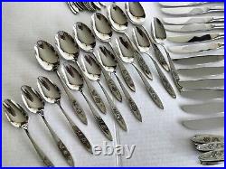 109pc Oneida Community Stainless My Rose Flatware for 11+ Serving & Specialty