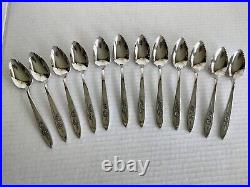 109pc Oneida Community Stainless My Rose Flatware for 11+ Serving & Specialty