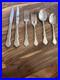 27 pc. Oneida MORNING BLOSSOM Stainless Knives Forks Spoon Service For 4 + Extra