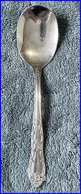 57 Pc Set- Vintage Thor Oneida Oakleigh Stain, Stainless Steel Flatware Glossy