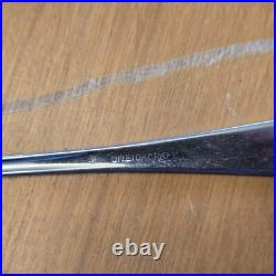 66 PCS OneidaCraft Deluxe EMBER GLOW Stainless Flatware/Silverware