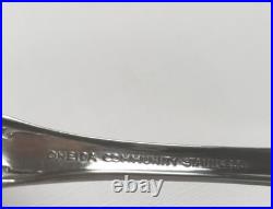 73 Pcs Oneida BRAHMS Community Stainless Steel Flatware Set Service For 12