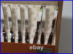 80 Pc FROSTFIRE by Oneida Community WithOriginal Case 1960s Original Flatware