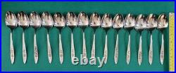 ONEIDA COMMUNITY MY ROSE STAINLESS FLATWARE 183pc SET, Steak Knife Spoon Etc