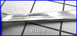 ONEIDA DECORATORS CATALINA Stainless Flatware 65 pcs (serves 10)