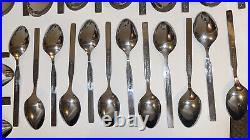 ONEIDA Flatware Northland Spring Fever 66 Piece stainless steel Inc. Serving PCs