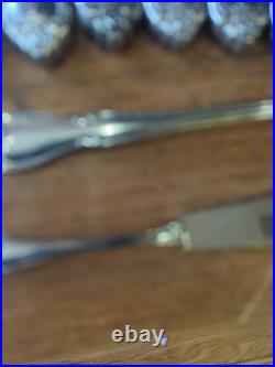 Oneida 1881 Rogers True Arbor Rose Stainless Flatware Set Lot 60 Pieces