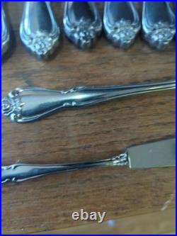 Oneida 1881 Rogers True Arbor Rose Stainless Flatware Set Lot 60 Pieces