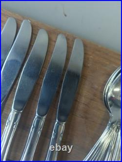 Oneida 1881 Rogers True Arbor Rose Stainless Flatware Set Lot 60 Pieces