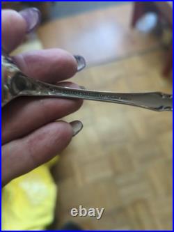 Oneida 1881 Rogers True Arbor Rose Stainless Flatware Set Lot 60 Pieces