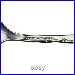 Oneida Belle Rose 18/8 Stainless Steel Teaspoon (Set of Twelve)