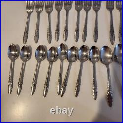Oneida Community Floral Glen Flatware Stainless Lot of 42 Pieces