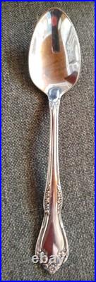 Oneida DOVER STYLE Stainless flatware set of 35 Includes serving spoon and fork