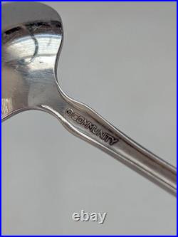 Oneida Tennyson Community Stainless Flatware Heirloom Lot of 29 Spoon-Fork-Knife