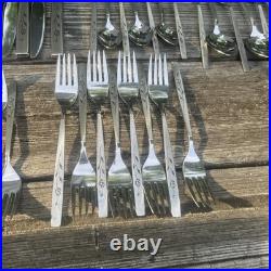 Oneidacraft Deluxe Stainless Flatware Capistrano Rose Silverware Oneida 42pc Set
