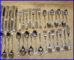 Onieda Distinction Deluxe HH Spring Glen Stainless Flatware 47 Pieces