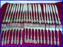 RAPHAEL by Oneida Distinction Deluxe Stainless HH Flatware 97 Pcs. Discontinued