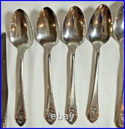 VTG Oneida Silverware SENTIMENTAL ROSE Stainless Rogers Premier 19 Piece Set