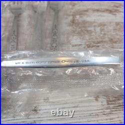 Wm A Rogers Premier Oneida Ltd SPANADA Stainless Flatware VTG 6 Sets 30 Pcs USA